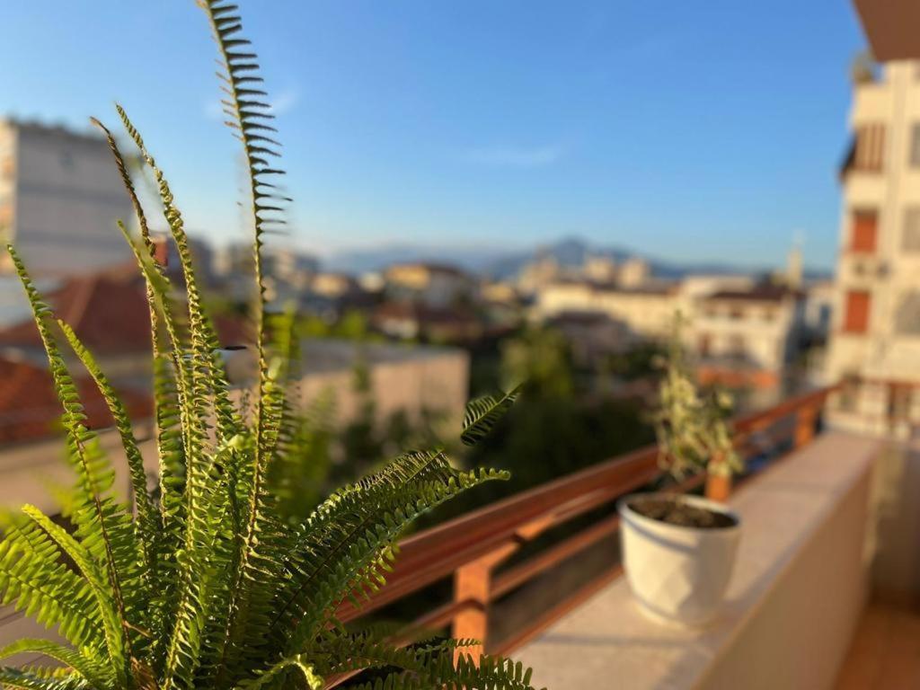 Premium Apartments Шкодер Екстер'єр фото
